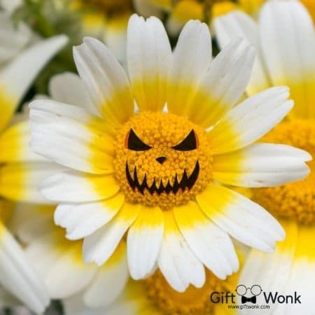 Halloween Gifts - Boo-Kay of Halloween Flowers for girls