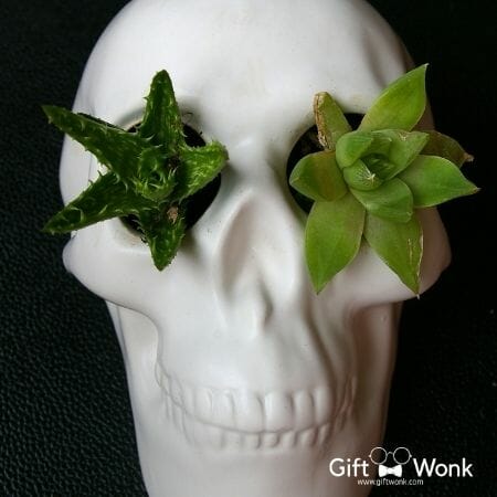 Funny Halloween Gag Gifts - Skull planter
