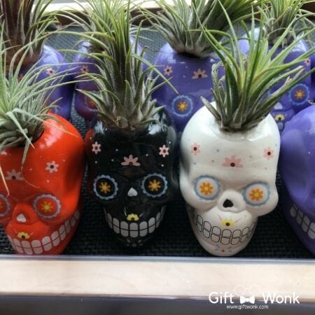 Novelty Halloween Gift - Skull planters 