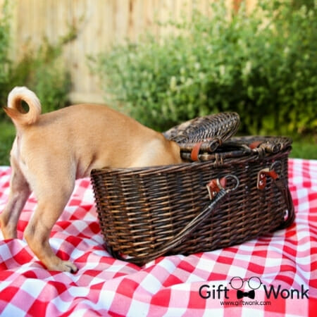 Christmas Gift Basket Ideas - Best Friend Dog Gift Basket 