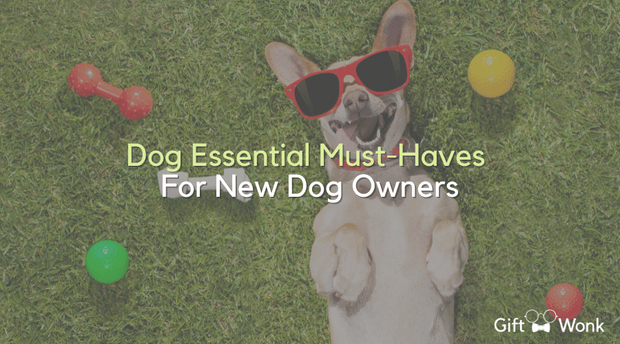 dog essential must-haves
