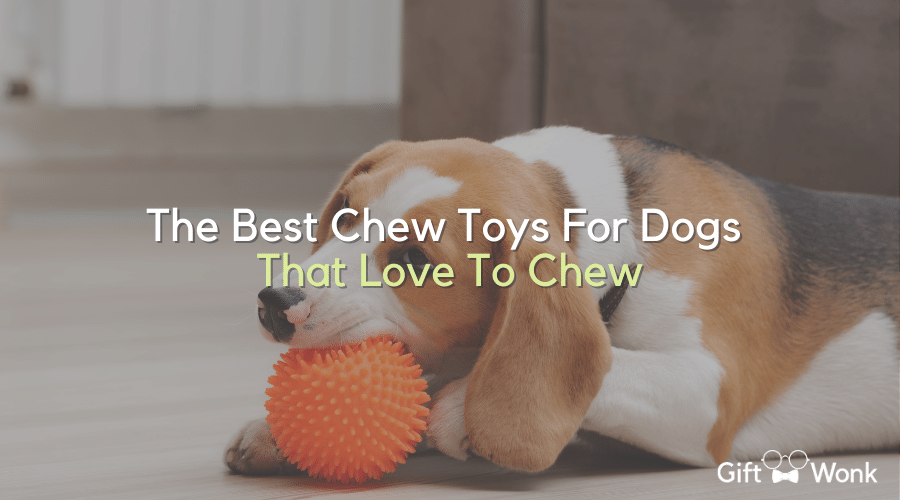 Best Chew Toys For Dogs
