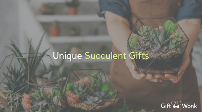 Succulents Galore! Unique Succulent Gifts to Make Someone Smile