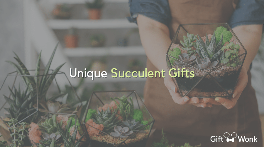 Succulents Galore! Unique Succulent Gifts to Make Someone Smile